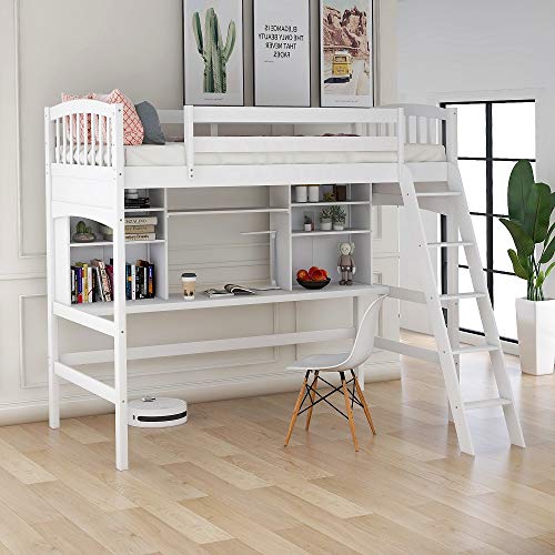 study loft bed